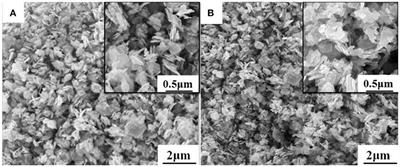 Acetone Sensing Properties and Mechanism of Rh-Loaded WO3 Nanosheets